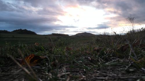 DJI_1902.JPG